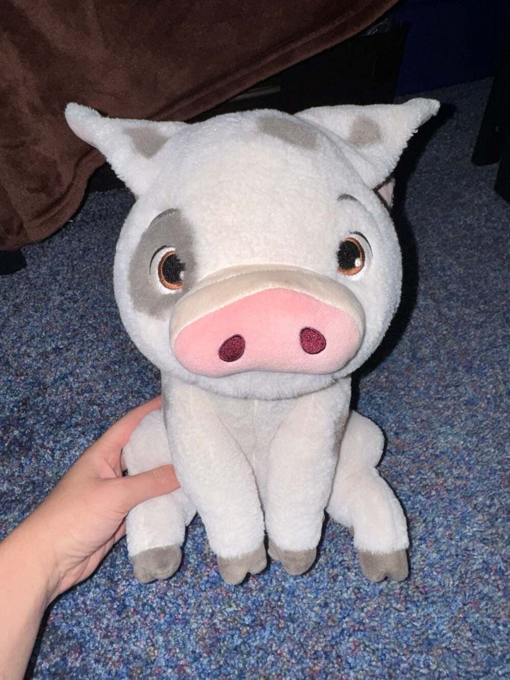 Disney Store Moana Pua Pig Stuffed Animal Plush Toy